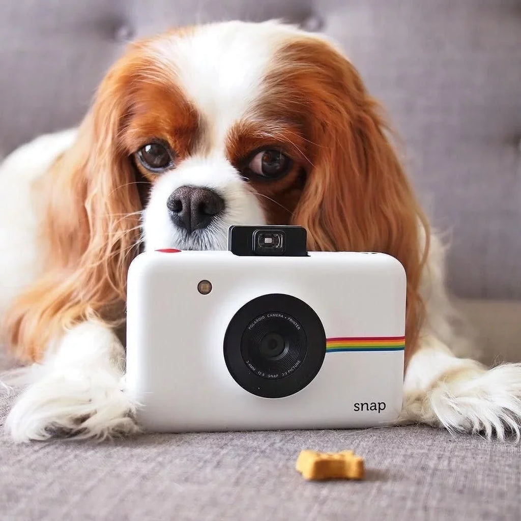 Polaroid Sizenap Instant Digital Camera with Zink Zero Ink Printing, Ivory