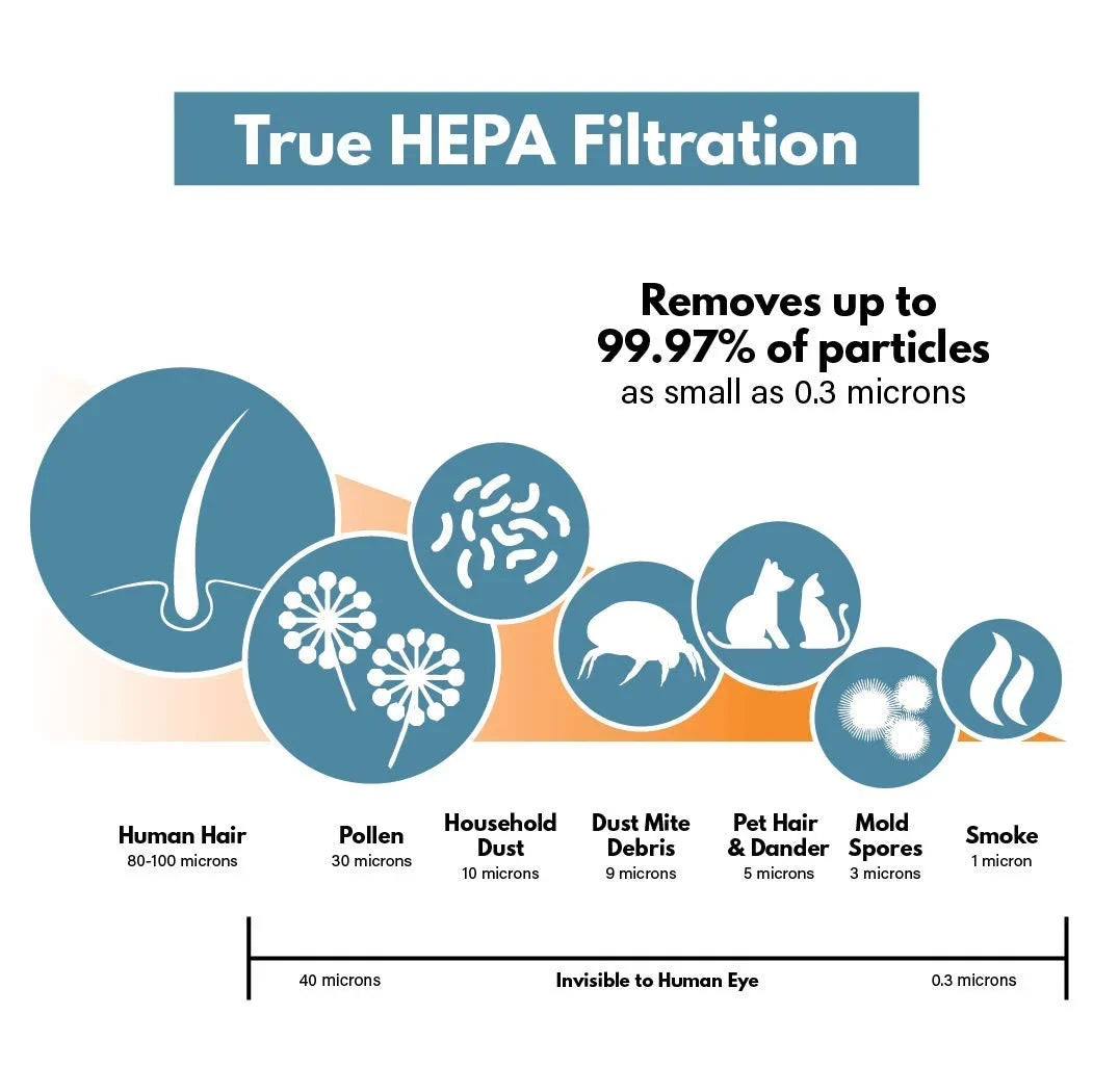 Filter-Monster – Replacement HEPA Filter with 4 Carbon Pre-Filters Sizeet, 2 HEPA and 8 Carbon Filter Pack - Compatible with GermGuardian FLT5000 Air Purifier Filter Sizeize C