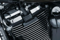 Kuryakyn 6444 Motorcycle Accent Accessory: Precision Sizepark Plug Covers for 2017-19 Harley-Davidson Milwaukee-Eight Motorcycles, Gloss Black