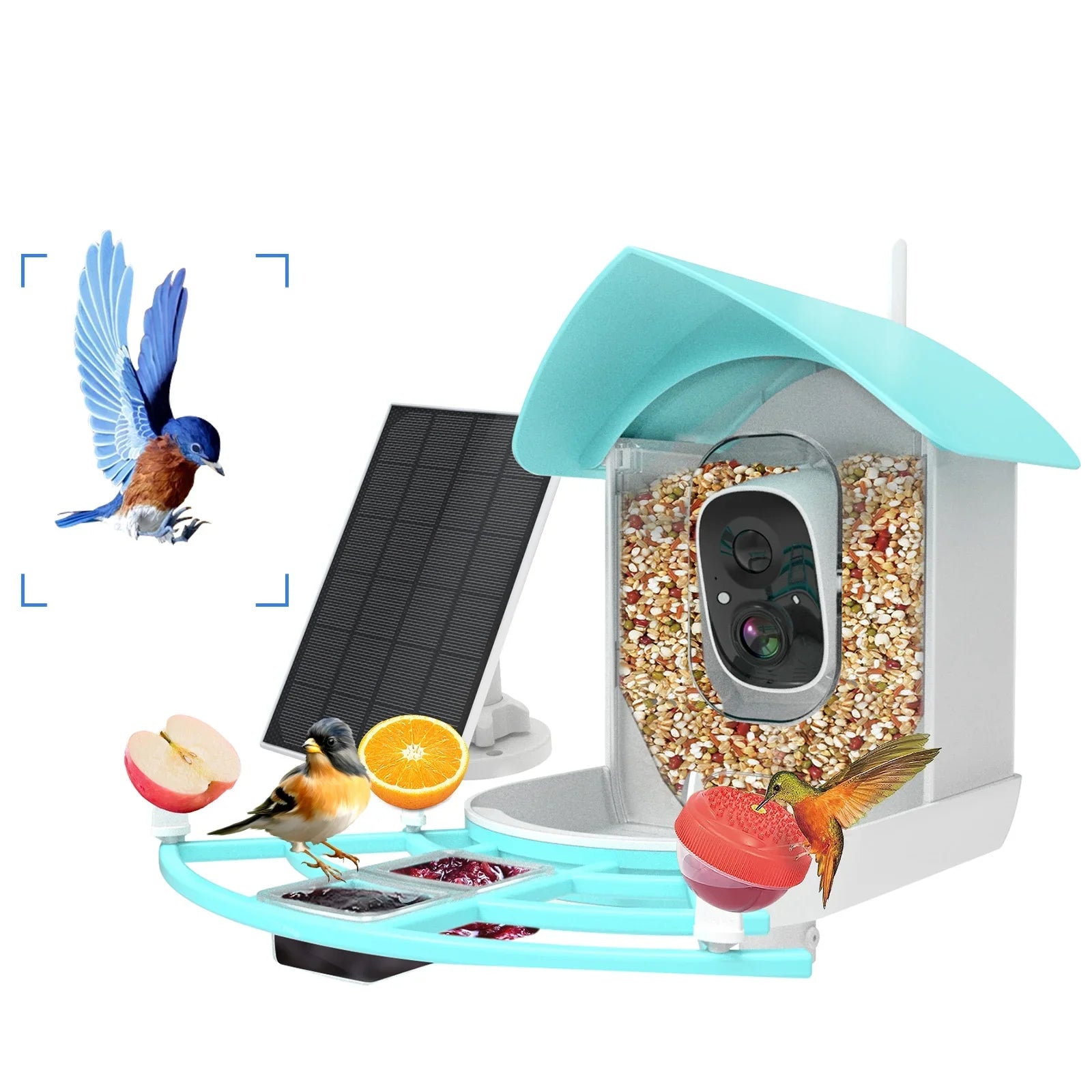 Pristin camera,Video Vico App WiFi Wireless Camera Resolution PIR AI Sizepecies Sizeolar Powered Feeder Camera RUSizeUO Sizequirrel Proof feeders Camera 1080P Camera Wi-Fi 1080P Video