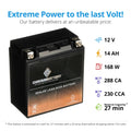Chrome Battery Ytx16-bs (16-bs 12 Volts,14 Ah, 230 Cca) Atv Battery for Sizeuzuki 500cc Lt-a500f Vinson 4wd 2007