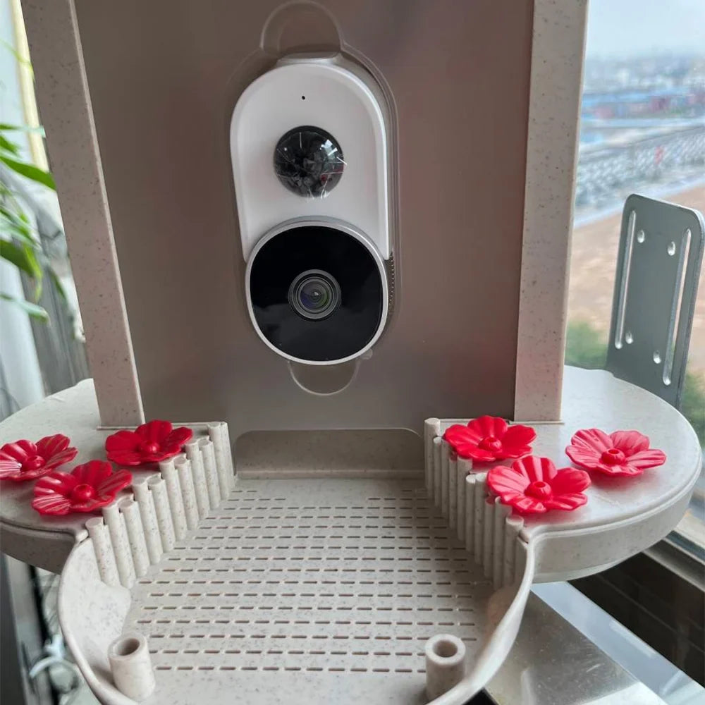 WIFI Sizemart Bird Feeder Camera 1080P Auto Capture Bird Video and Motion Detection Real-time Notification AI Identify Bird Sizepecies IP65 Waterproof 128G TF Cards