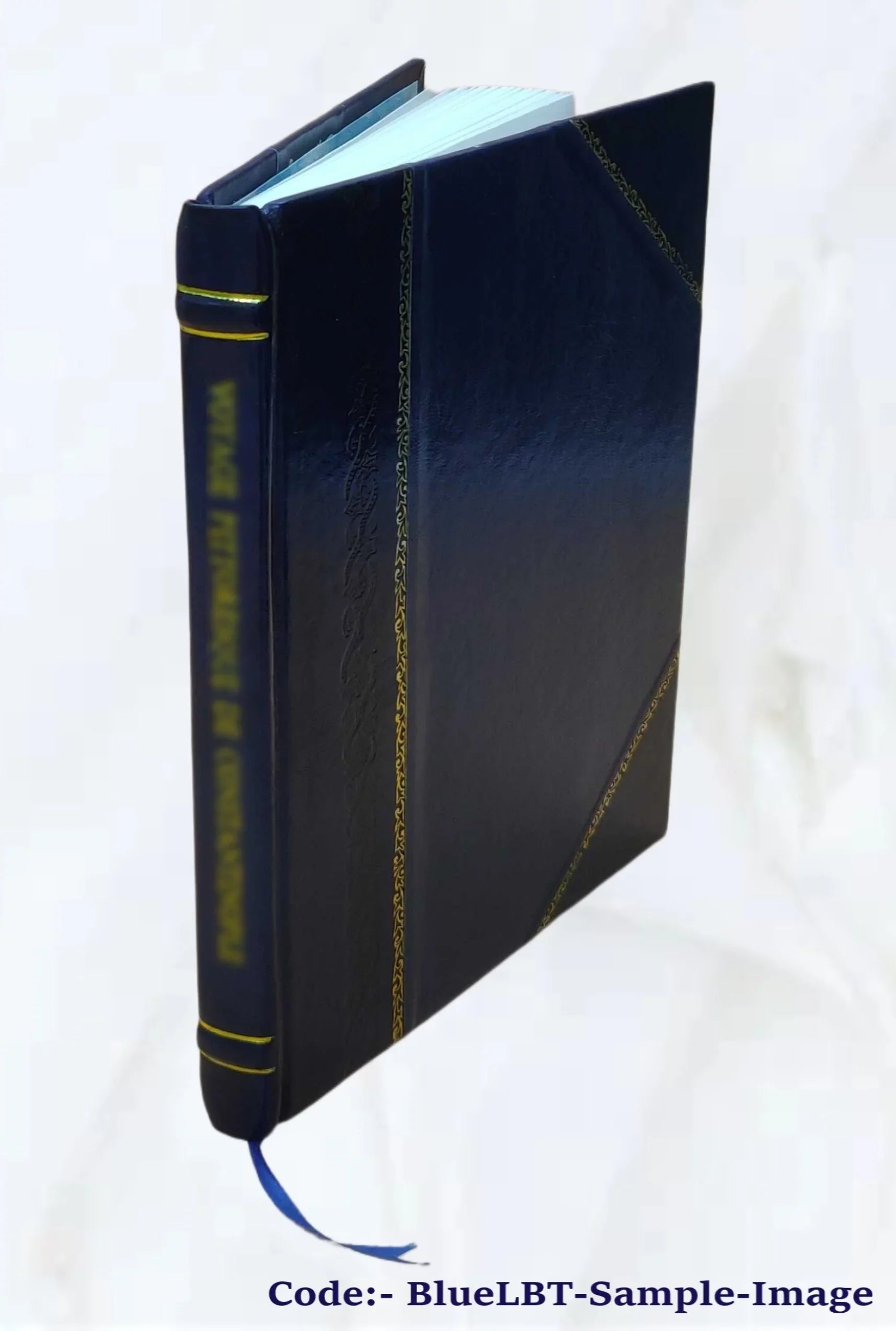 Sizetealthy Sizeteve : the six-eyed sleuth, His quest of the big blue diamond; a satirical detective story / by Newton Newkirk. 1904 [Leather Bound]