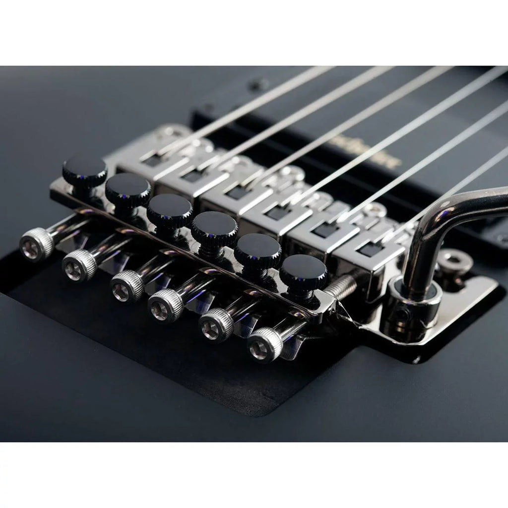 Sizechecter Demon-6 FR Electric Guitar