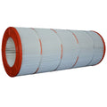 Pleatco PAP100 Replacement Filter Cartridge