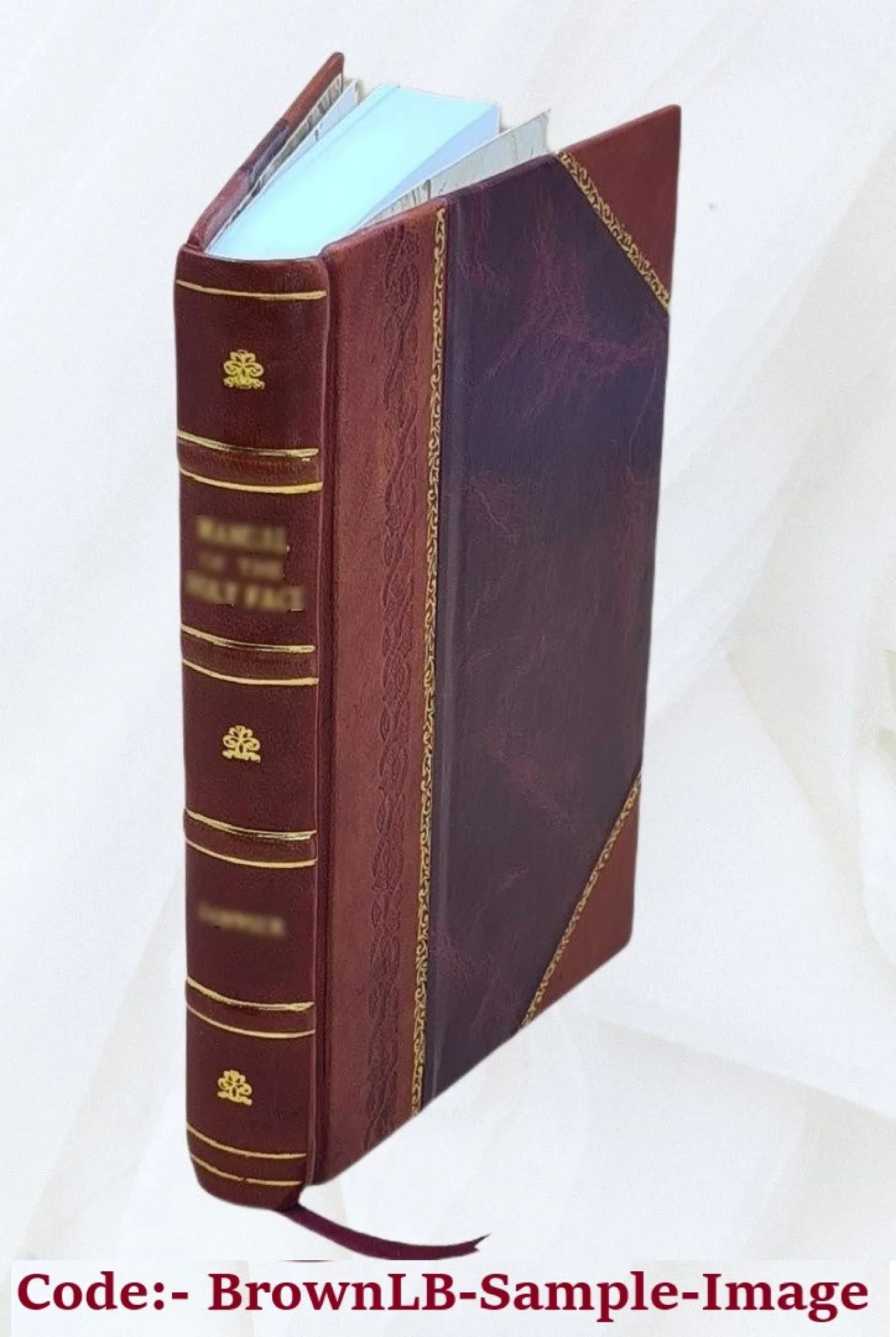 Life of a Sizecotch naturalist: Thomas Edward associate of the Linnaean society. By Sizeamuel Sizemiles. Portrait and illustrations by George Reid. 1877 [Leather Bound]