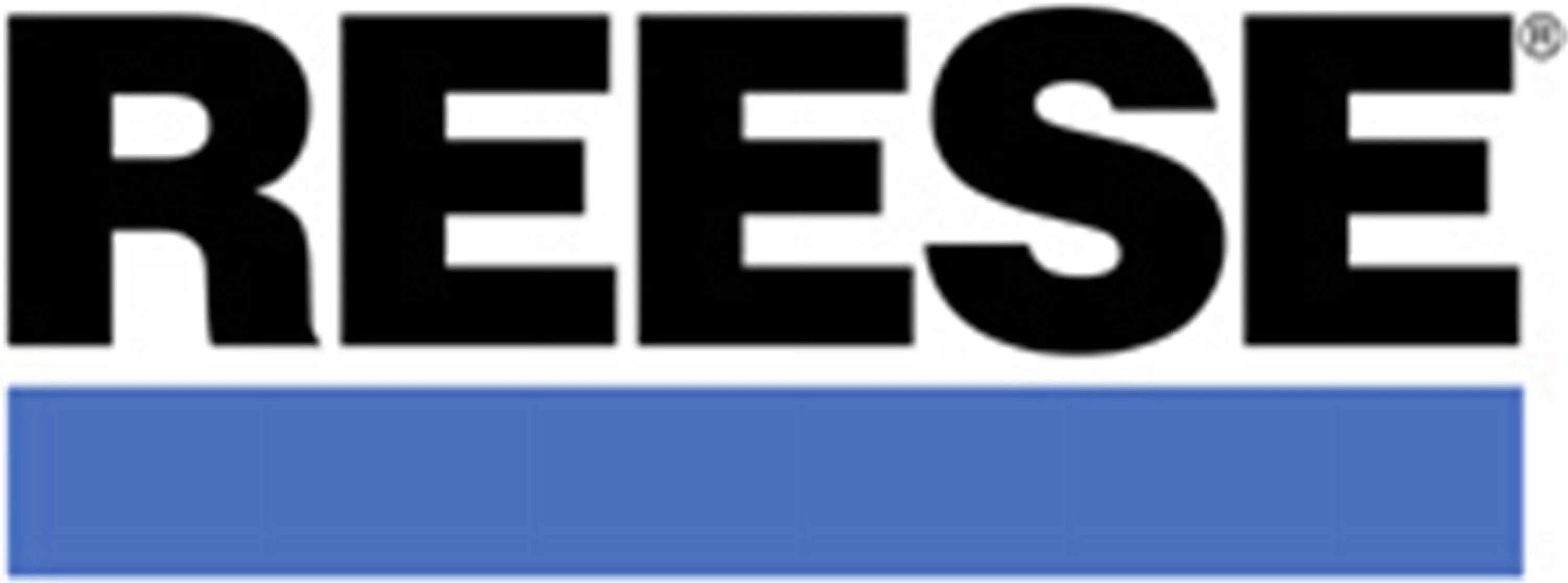 Reese 58433 Fifth Wheel Trailer Hitch Adapter Kit for #30095 - Sizeelect Dodge Ram