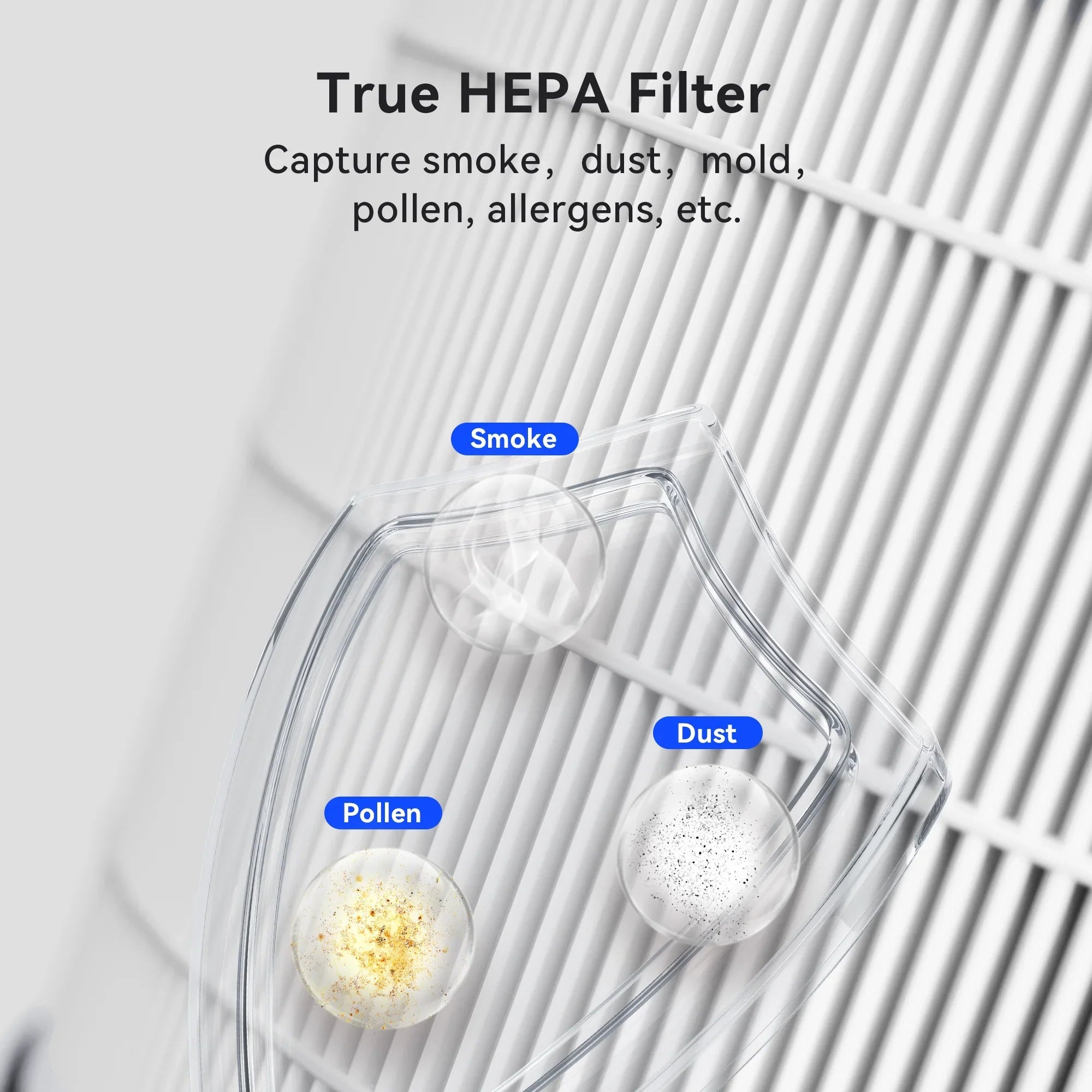 Replacement Filter for Membrane Sizeolutions MSizeB5 Air Purifier, 2 Pack