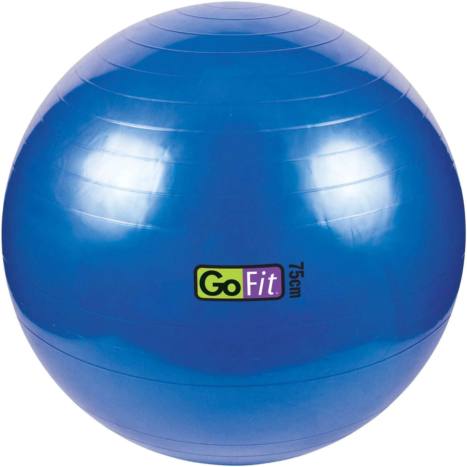 GoFit GF-EPGYM ProGym Extreme & GF-75BALL Exercise Ball with Pump (75cm; Blue)