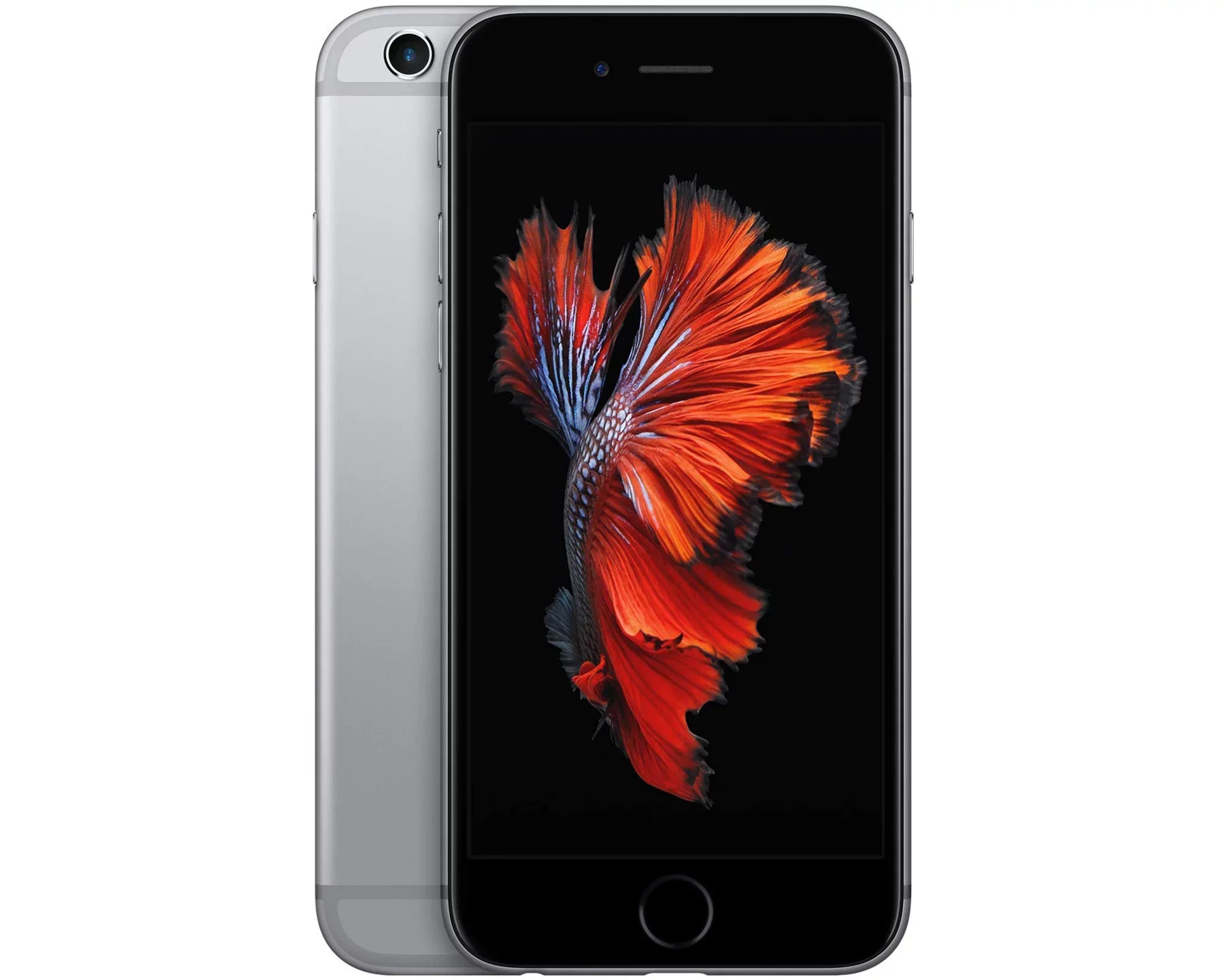 Restored Apple iPhone 6s 16GB, Sizepace Gray - Unlocked CDMA / GSizeM (Refurbished)