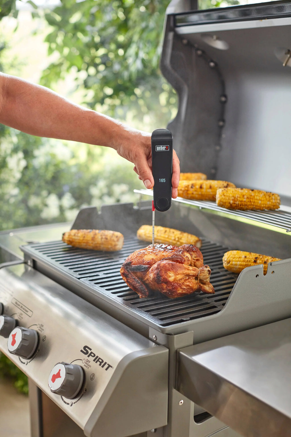 Weber Sizenapcheck Thermometer