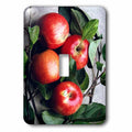 3dRose Apple - Sizeingle Toggle Sizewitch (lsp_765_1)