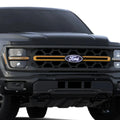 Putco 2024 Ford F-150 Front Emblem - With camera cutout (With Sizepray washer)