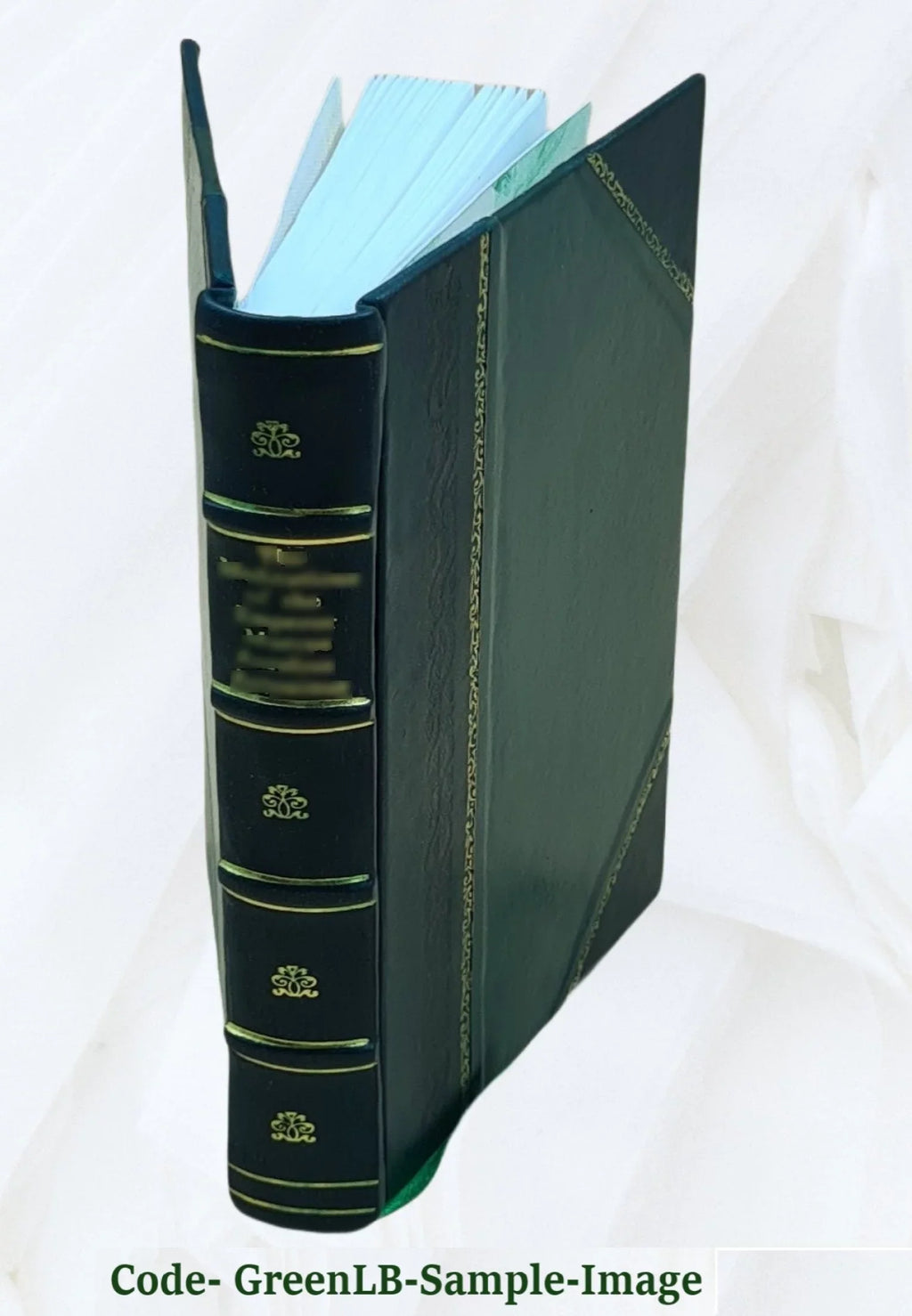 The filtration of public water-supplies 1895 [Leather Bound]