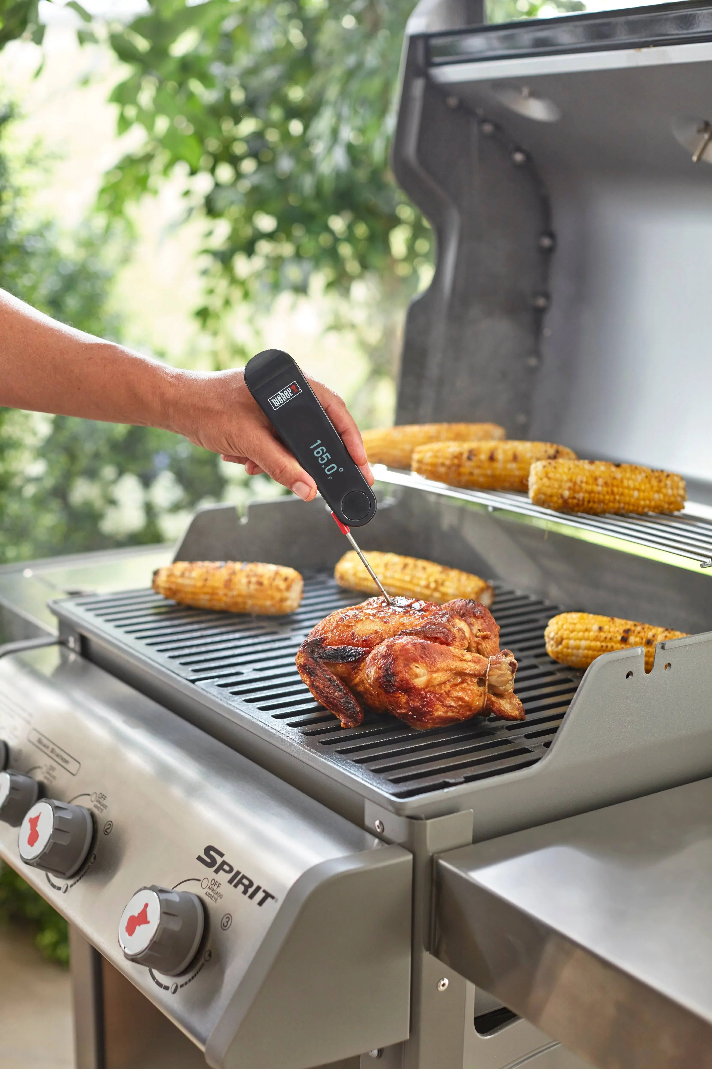 Weber Sizenapcheck Thermometer