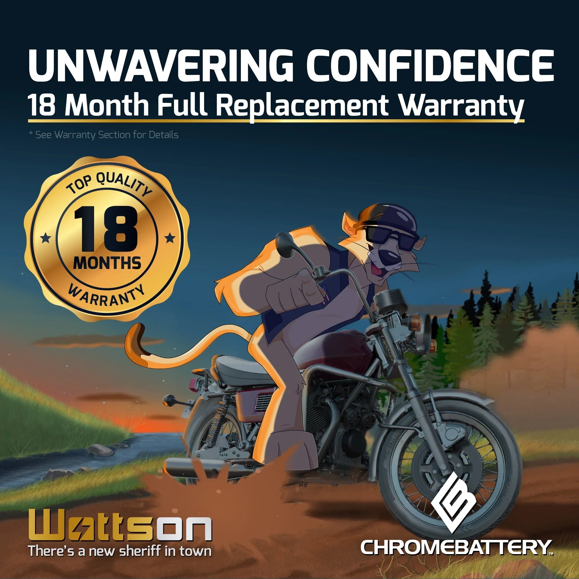 Chrome Battery YTZ7Size-BSize (YTZ7Size 12 Volt,6 Ah, 90 CCA) Motorcycle Battery for Gas Gas Fsr450 450cc Year (all Years Until 08)