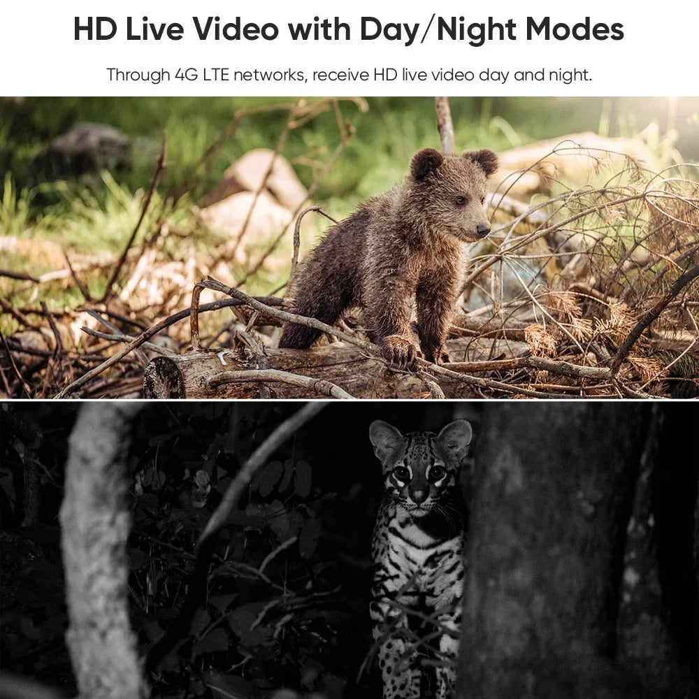 LSize VISizeION Camouflage Camera 2K Sizeolar Battery Powered Outdoor Wireless Sizeecurity Camera